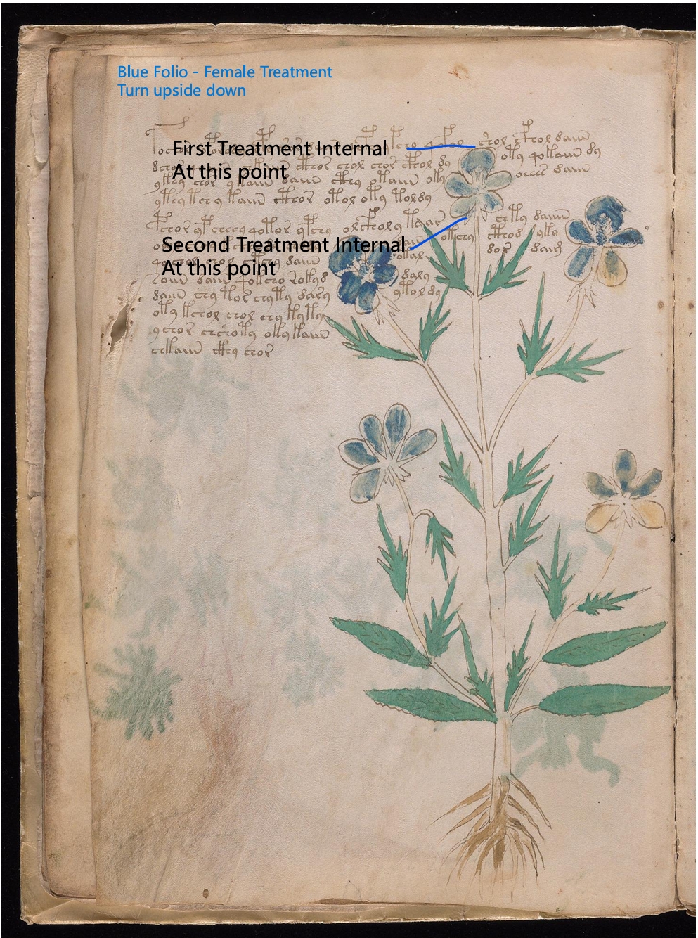 Secondary labelled diagram of Folio 9v